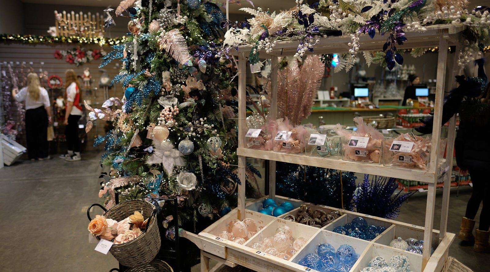 Cinderella's Forrest