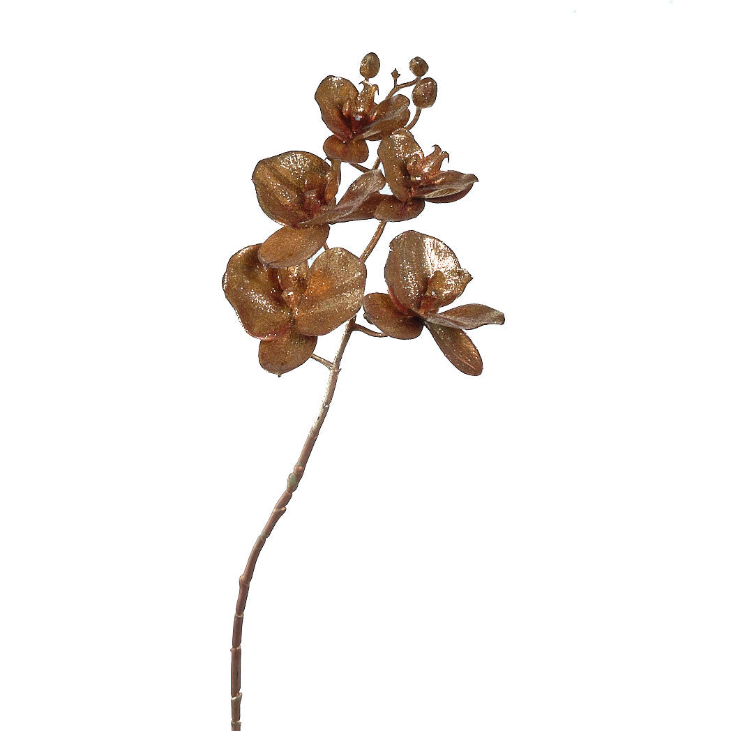 Brown Orchid Spray