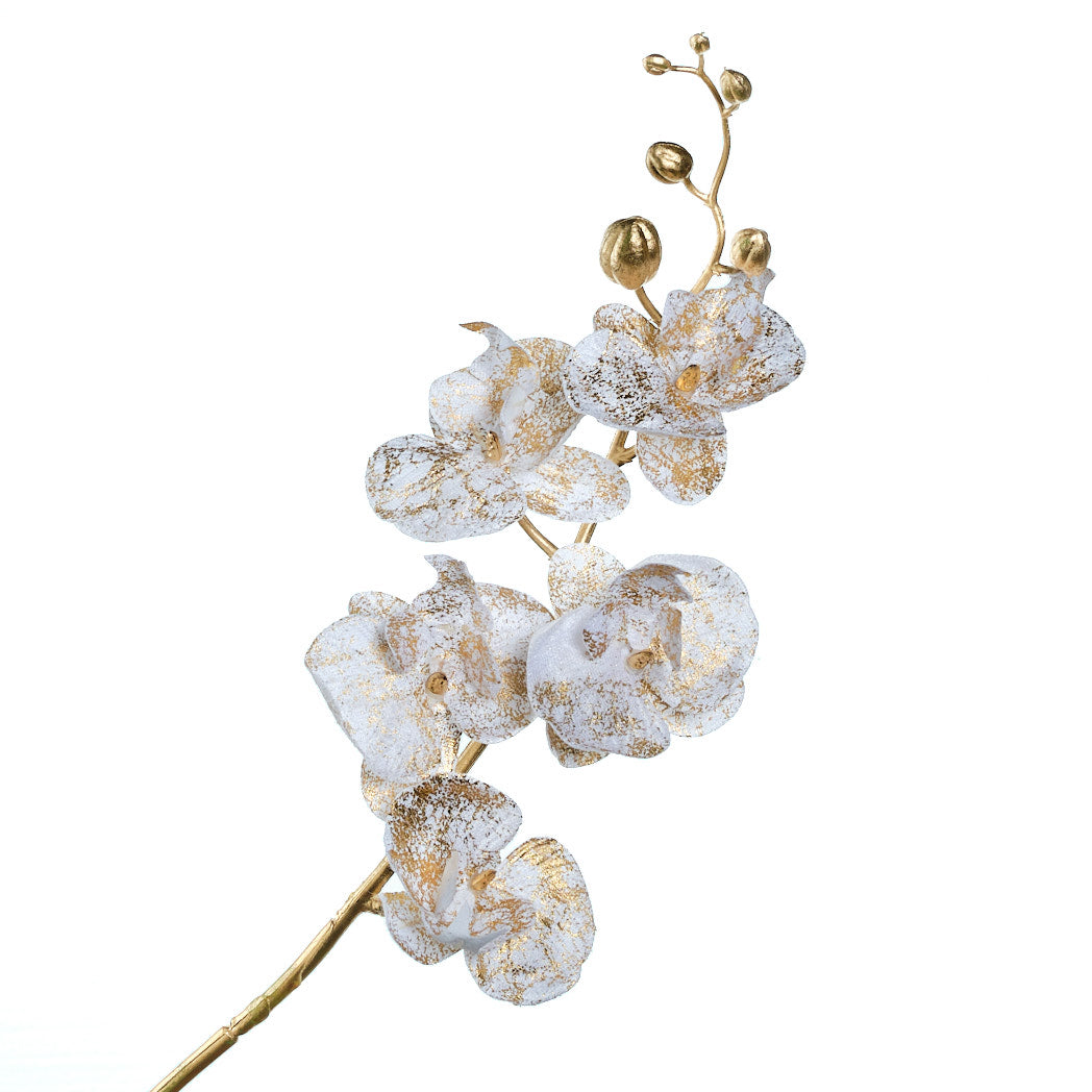Champagne & Cream Christmas Orchid Spray