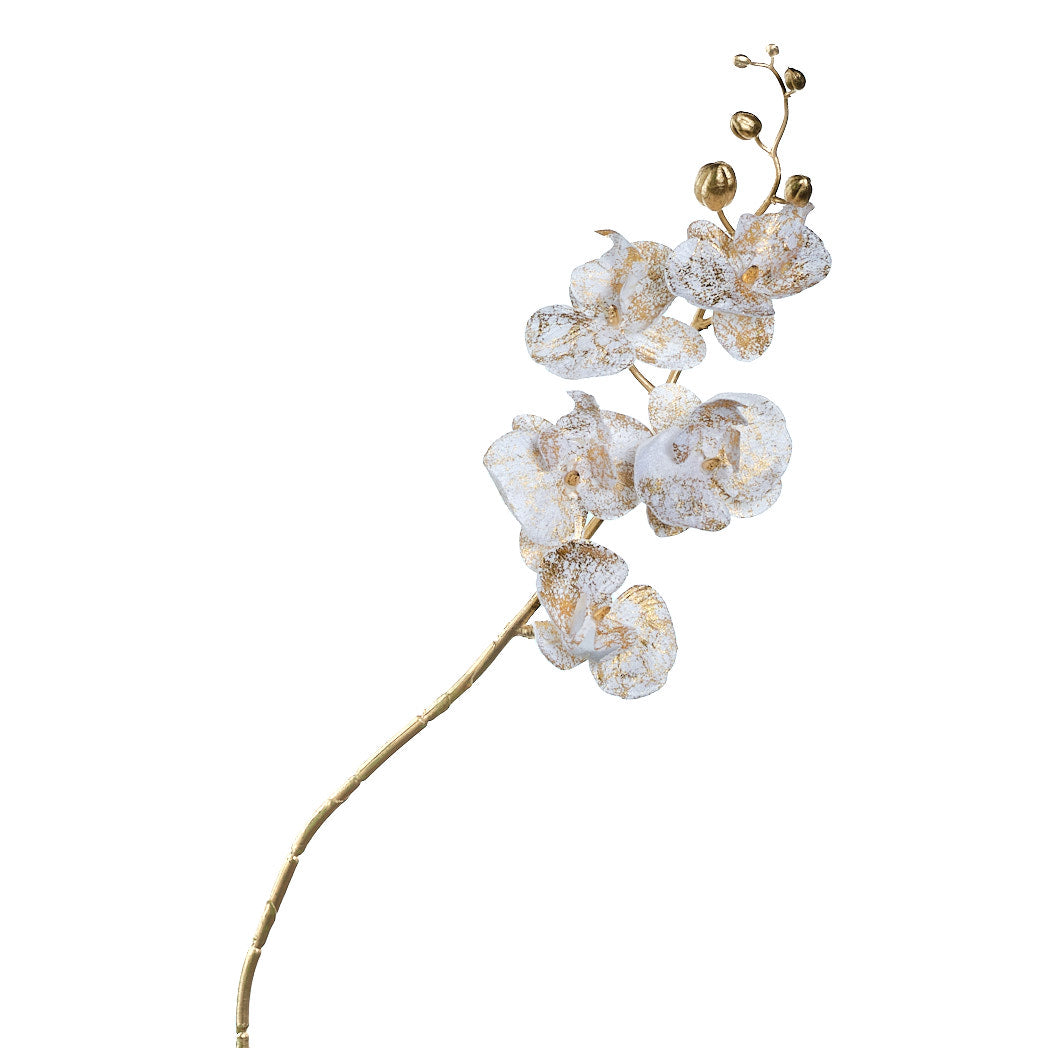 Champagne & Cream Christmas Orchid Spray