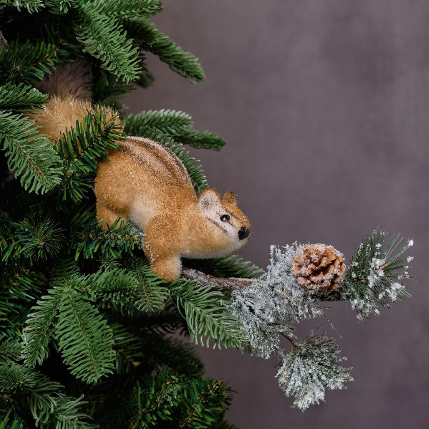 Squirrel On Twig