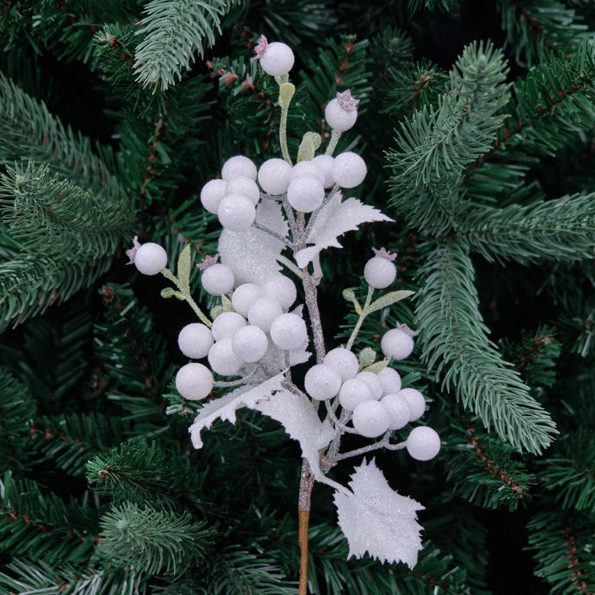 Snowy Berry Pick