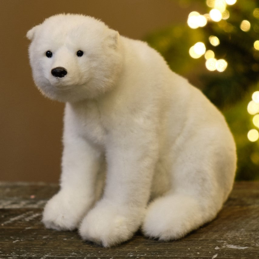 Polar Bear