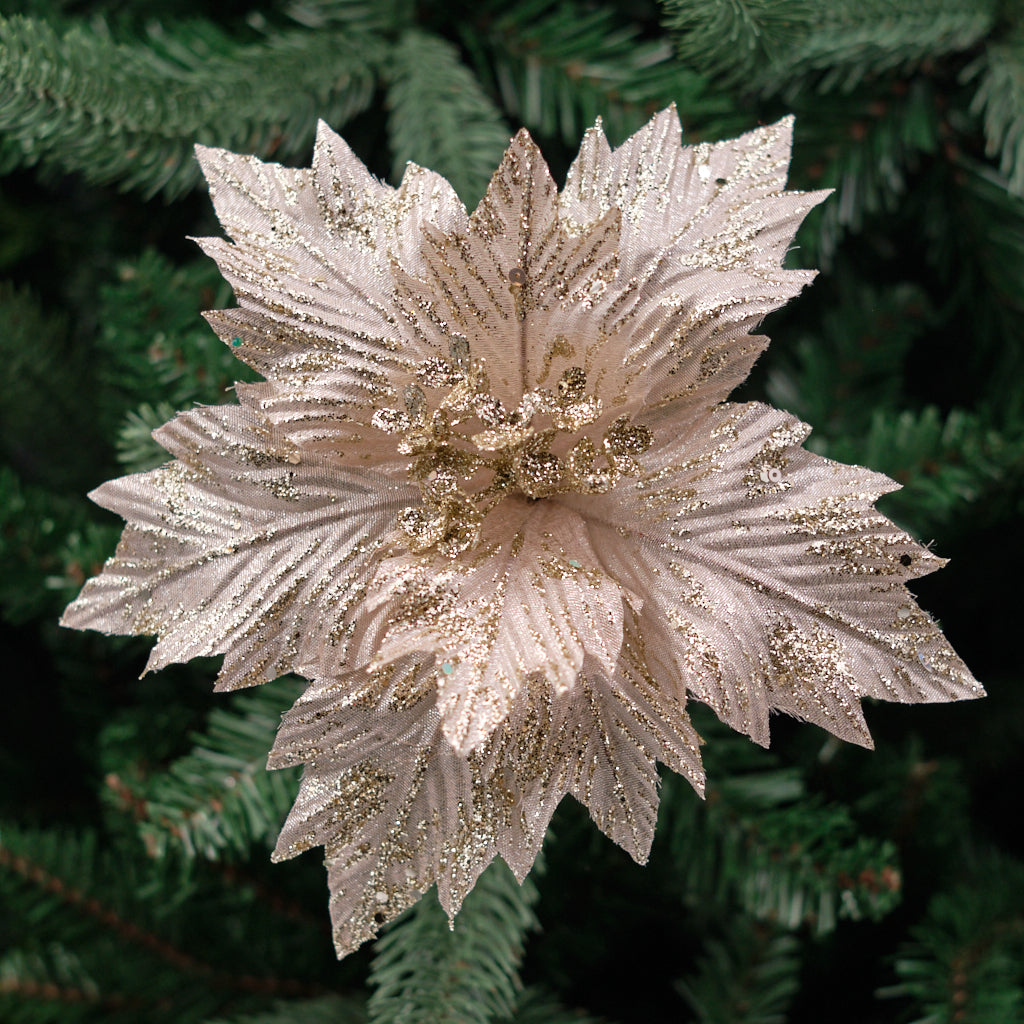 Fold Out Poinsettia