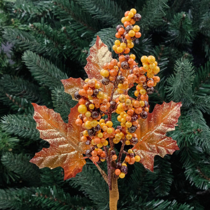 Autumn Berry Pick