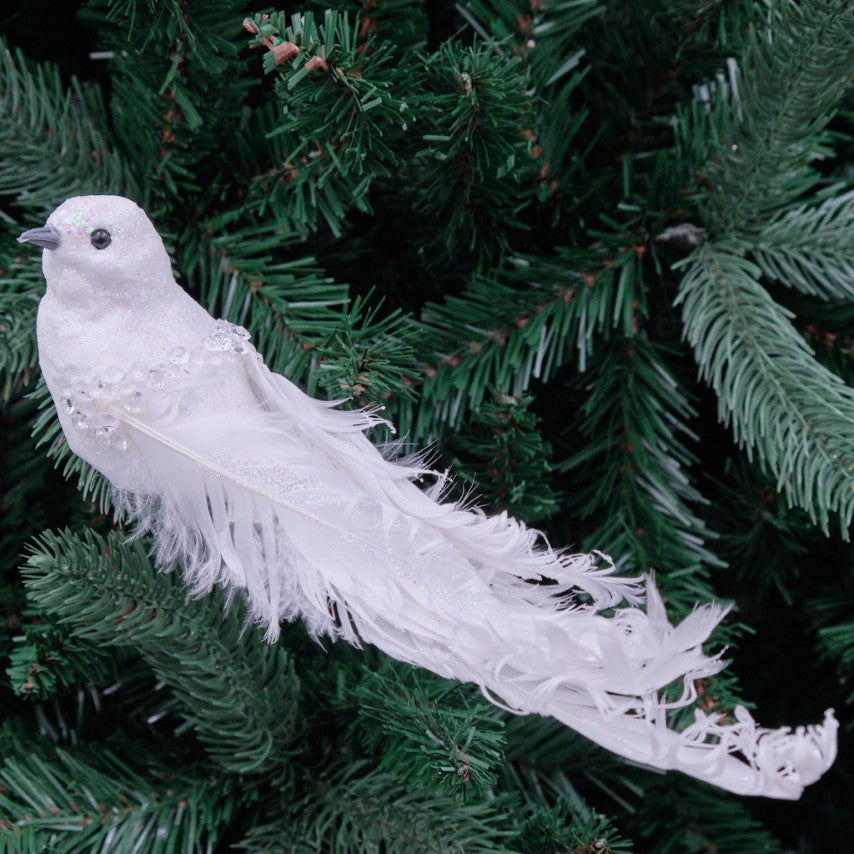 Snowy Jewel Bird Clip-On