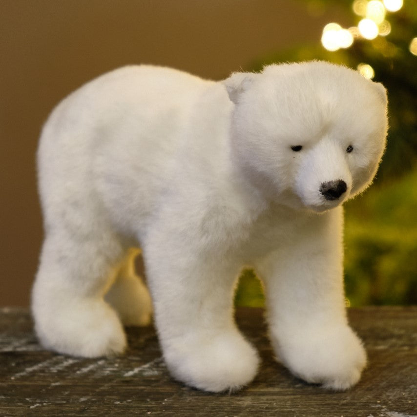 Polar Bear