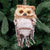 Tawny Owl Twig