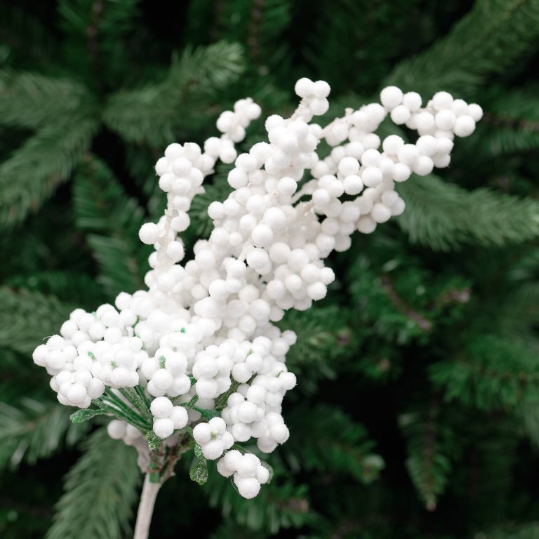 Snowy Cluster Berry Pick