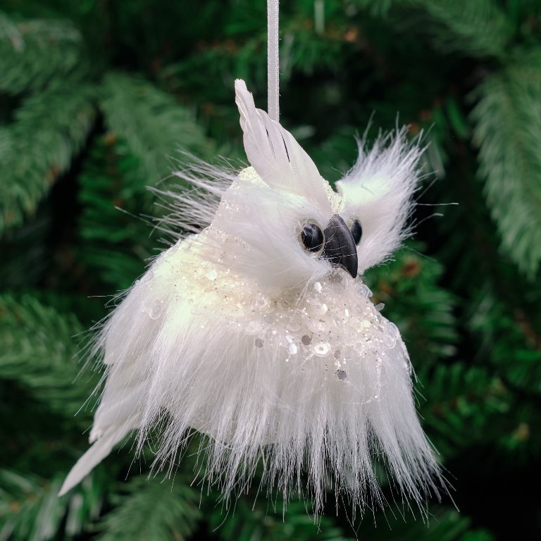 Snowy Owl