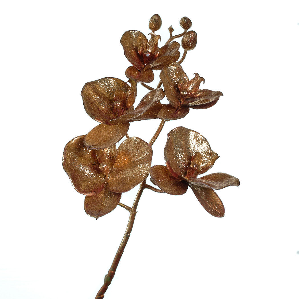 Brown Orchid Spray