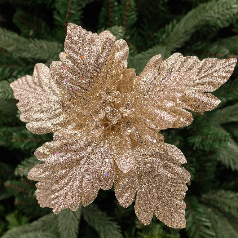 Fold Out Poinsettia