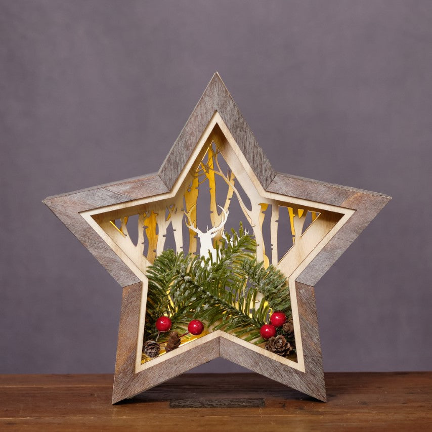 Battery Light Up Rustic Star