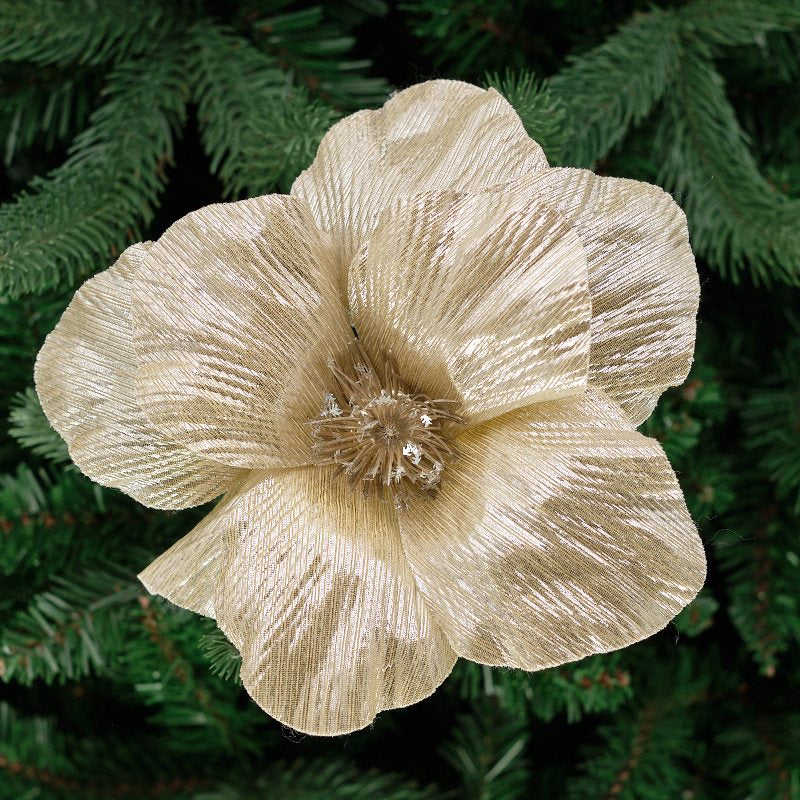 Fold Out Flower Head On Stem