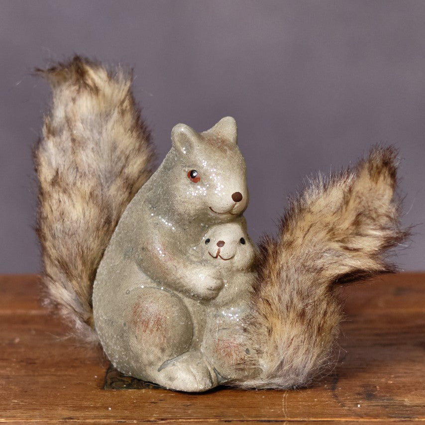 Squirrel Family