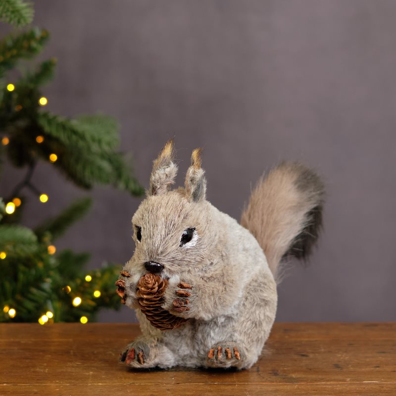 Festive Squirrel