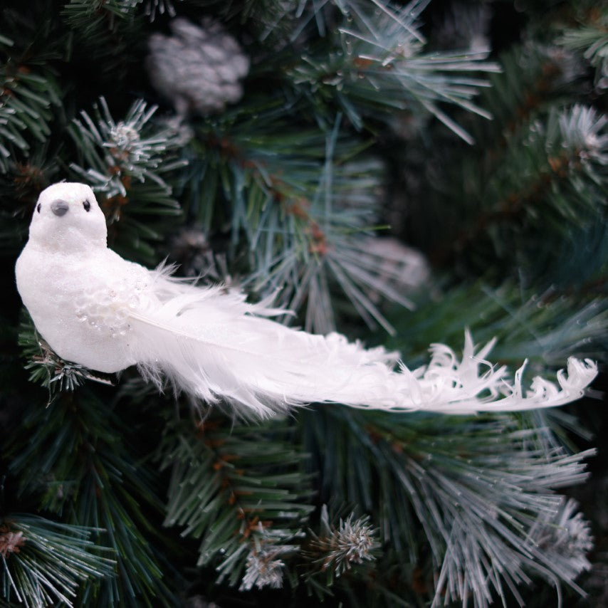 Snowy Jewel Bird Clip-On