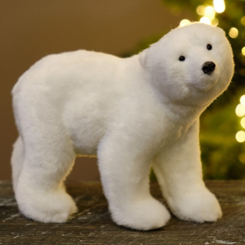 Polar Bear