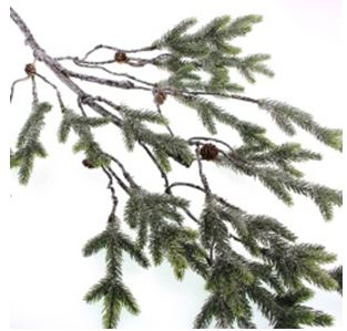 Cypress Branch