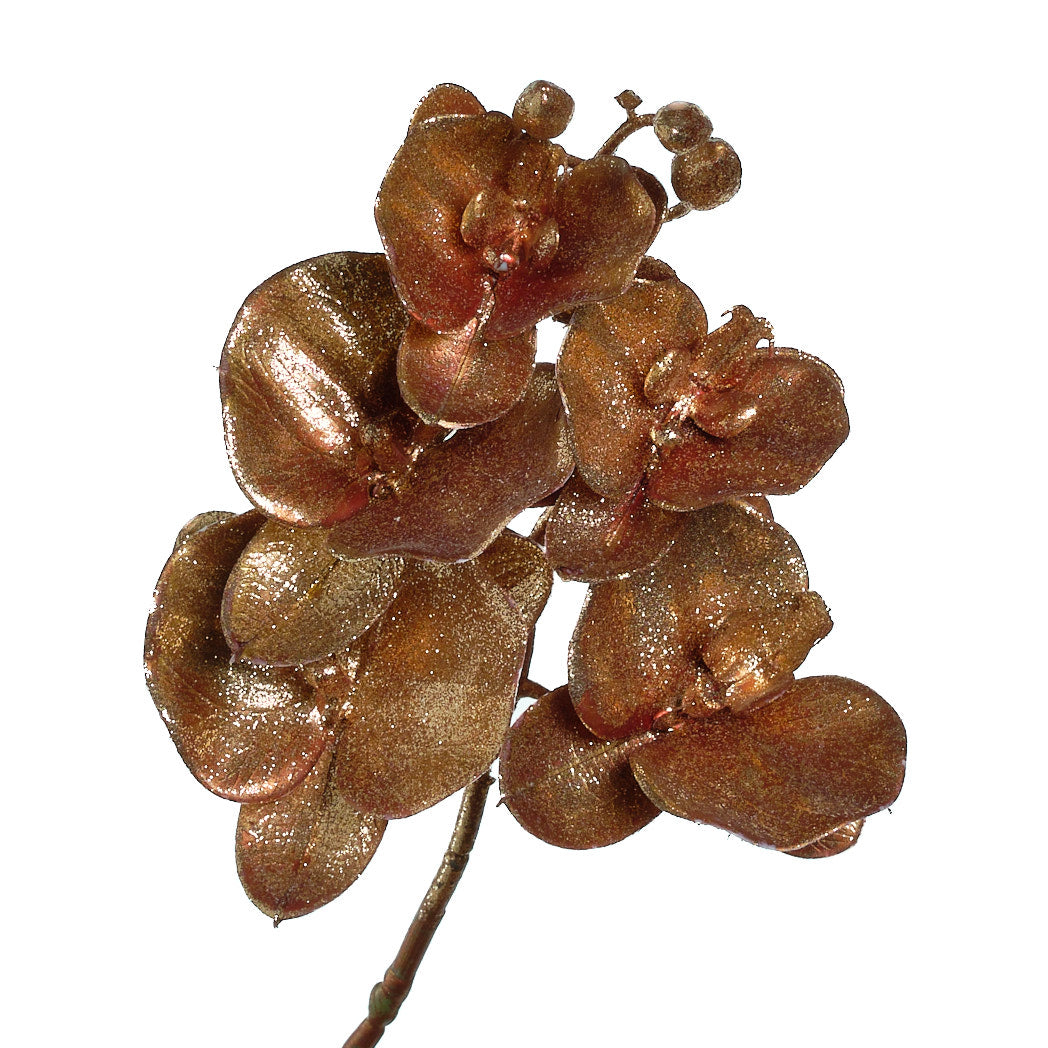 Brown Orchid Spray