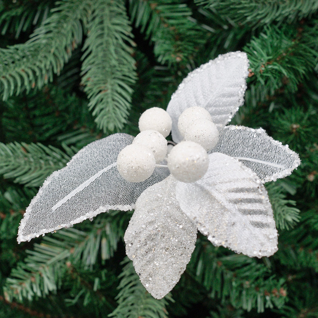 White Leaf and Berry Pick