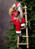 Santa Climbing Ladder