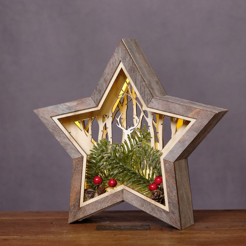 Battery Light Up Rustic Star